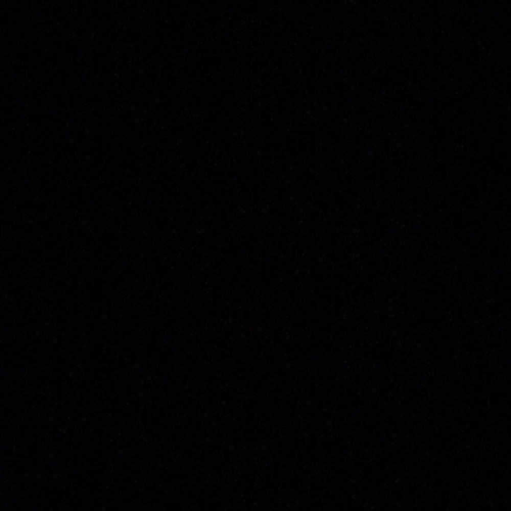 Meet your Posher, Dusty